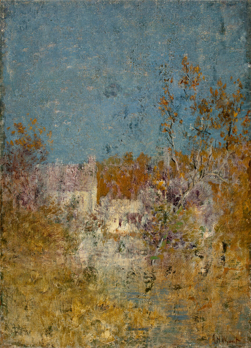 A Summer Day