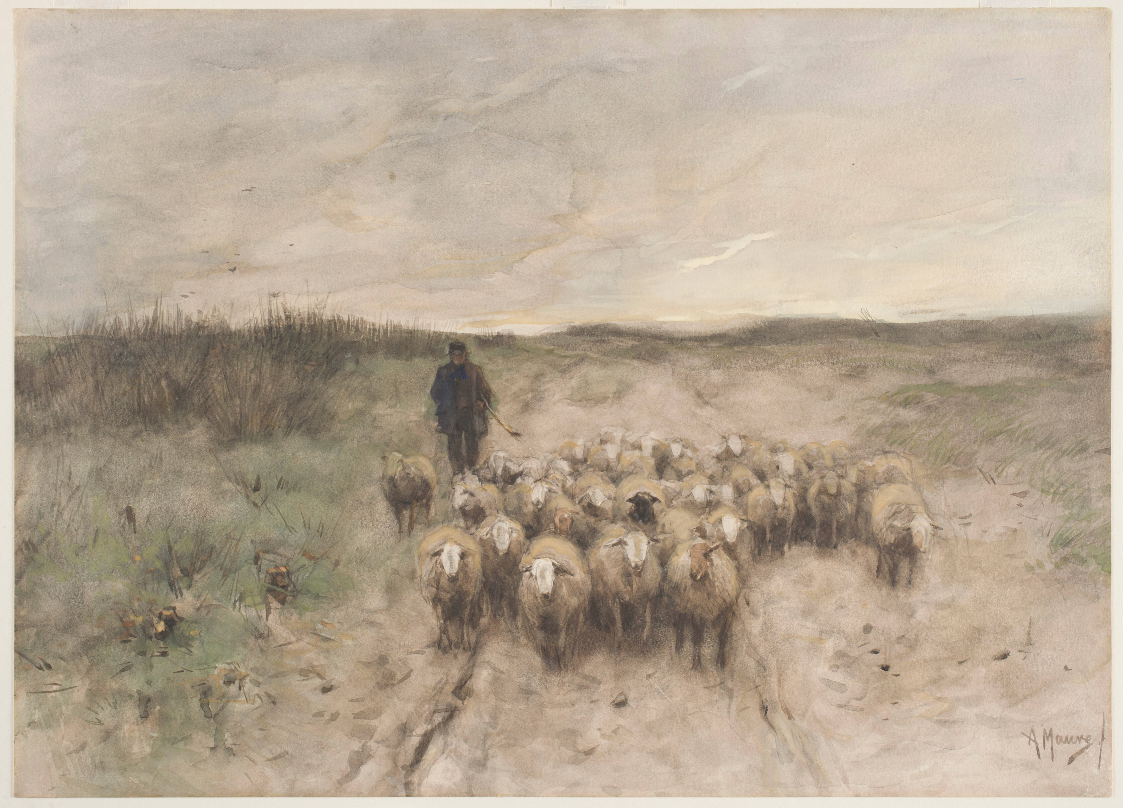 Return of the Flock