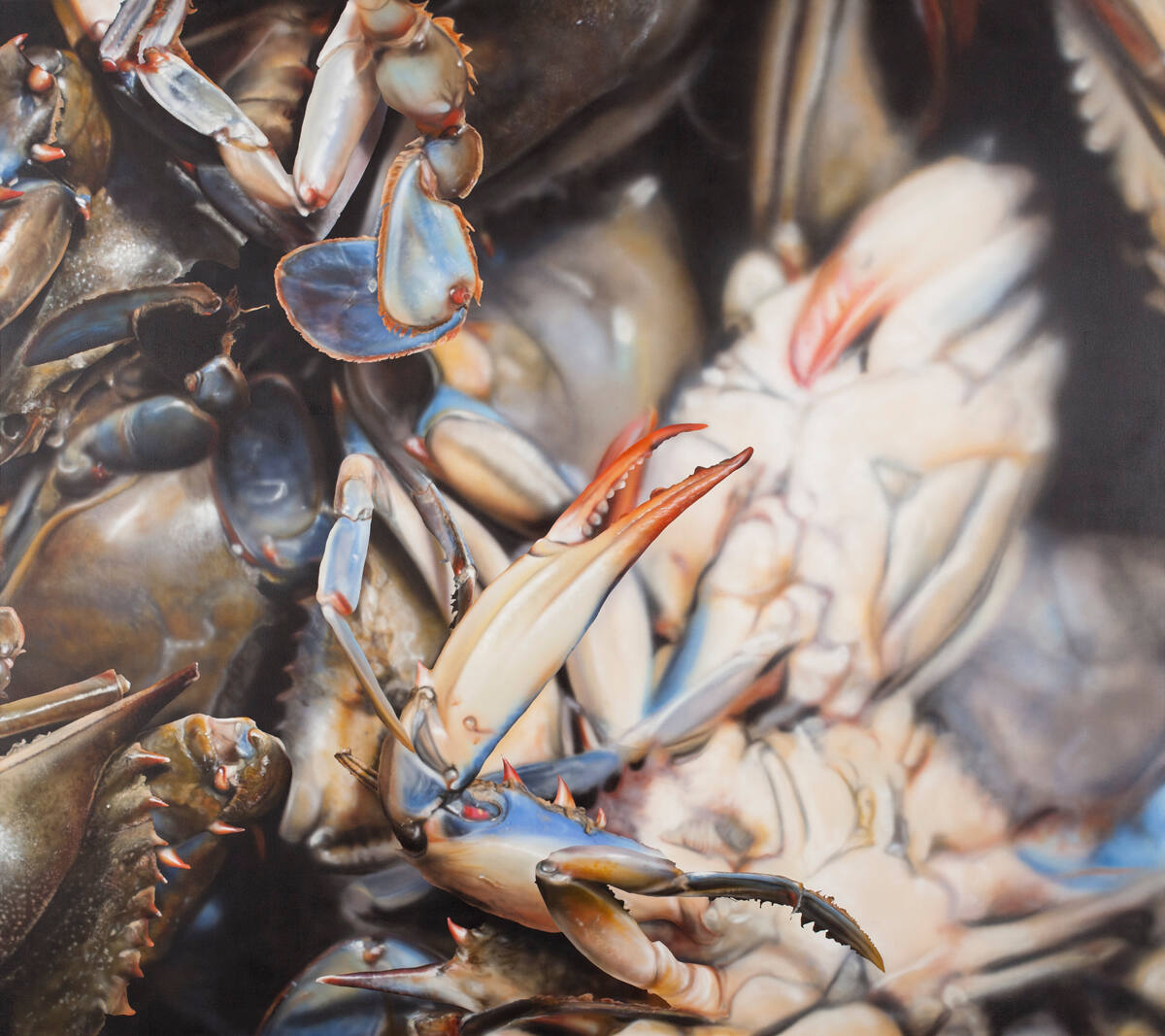 Blue Crab