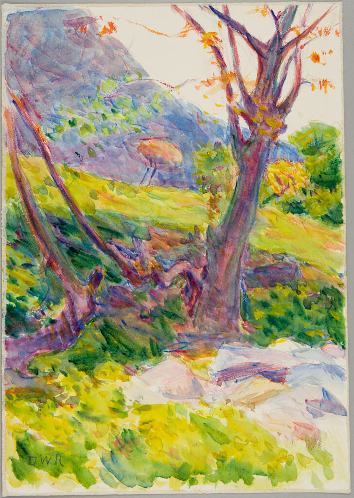 Landscape with Tree, Orizaba, Mexico