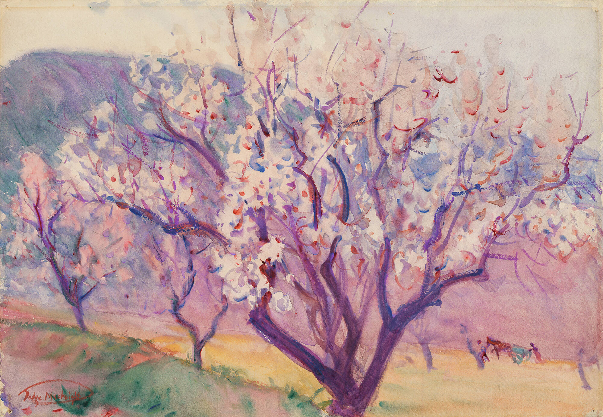 Almond Trees