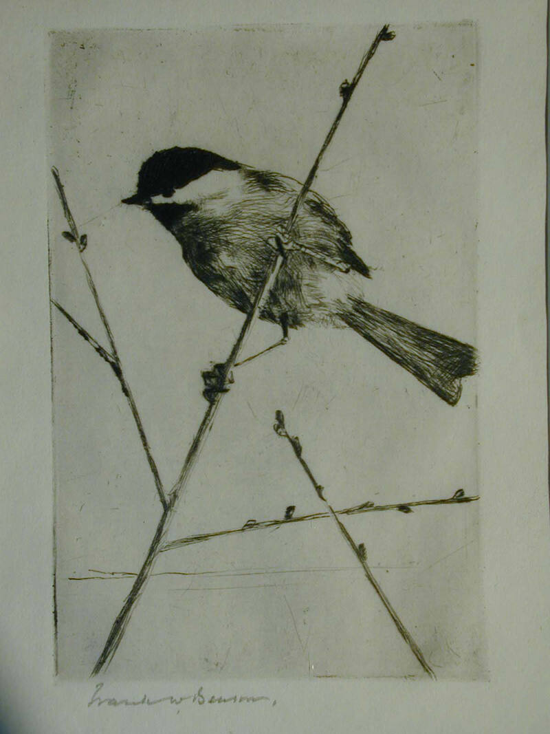 Chickadee