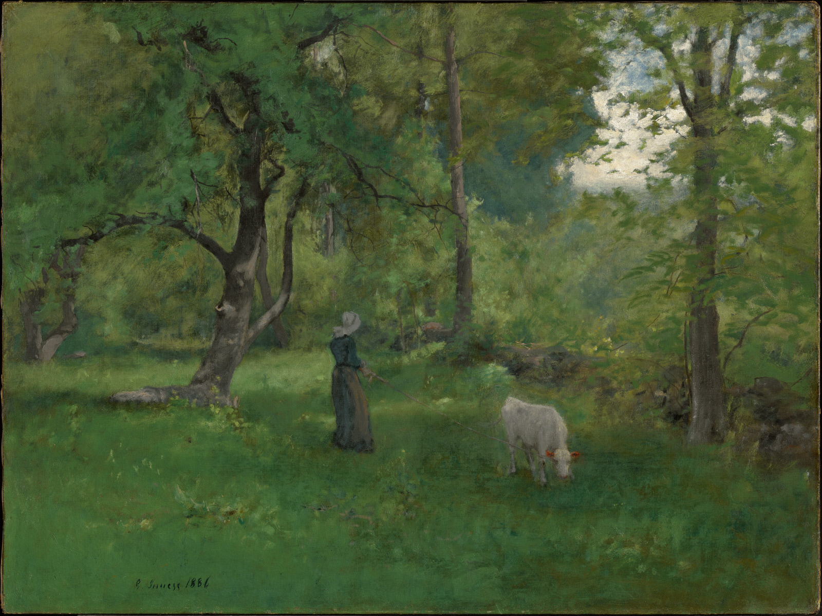 Green Landscape