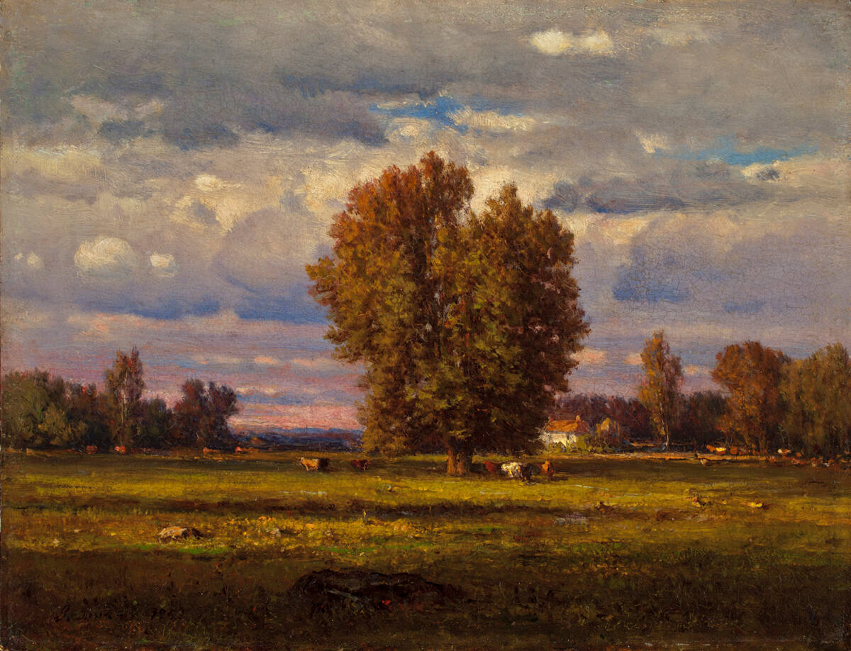 The Meadow