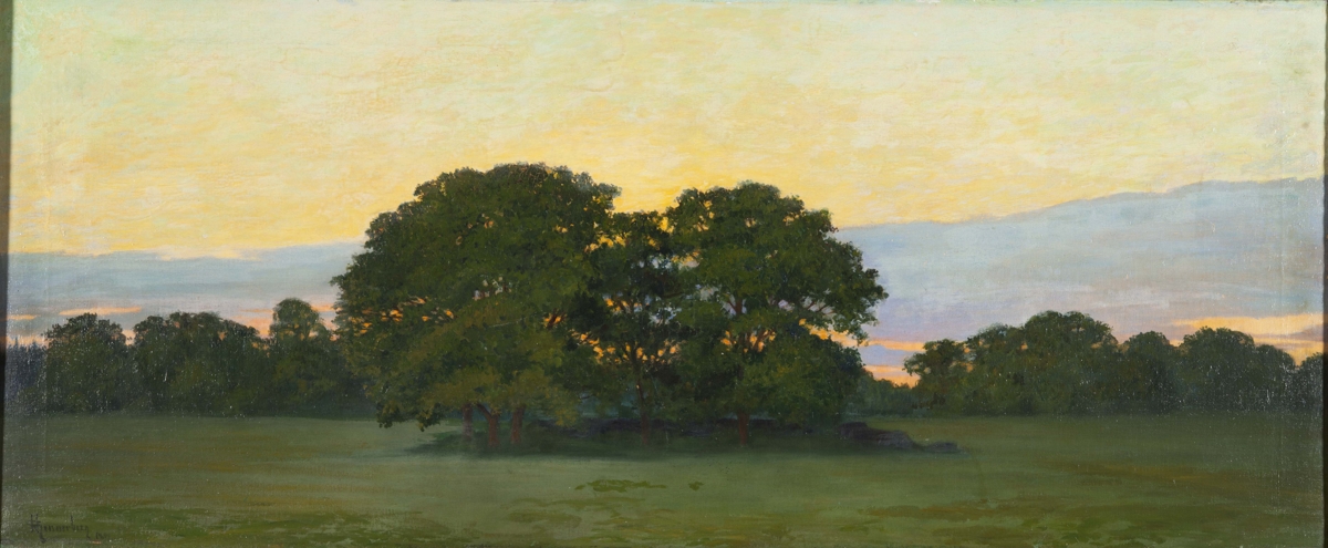 Oaks, evening atmosphere