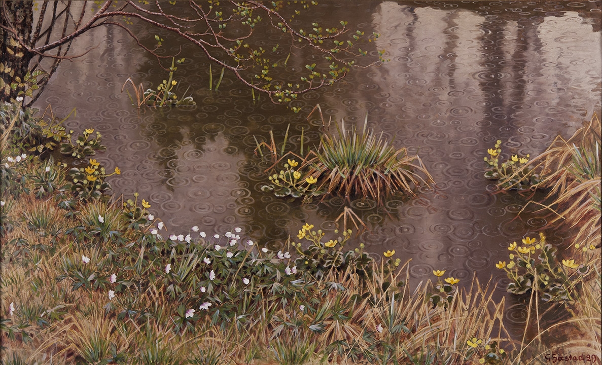 Spring Rain
