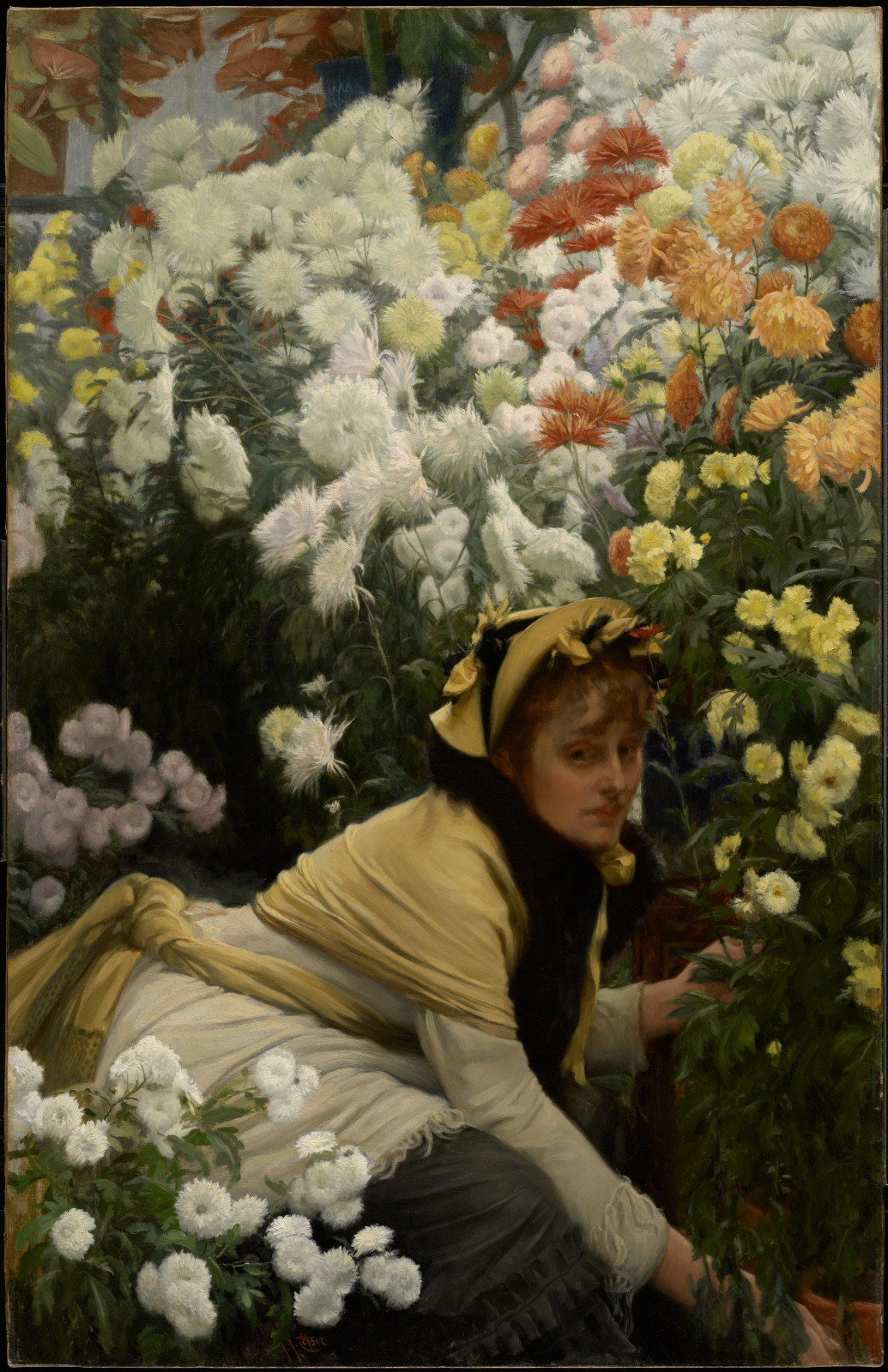 Chrysanthemums