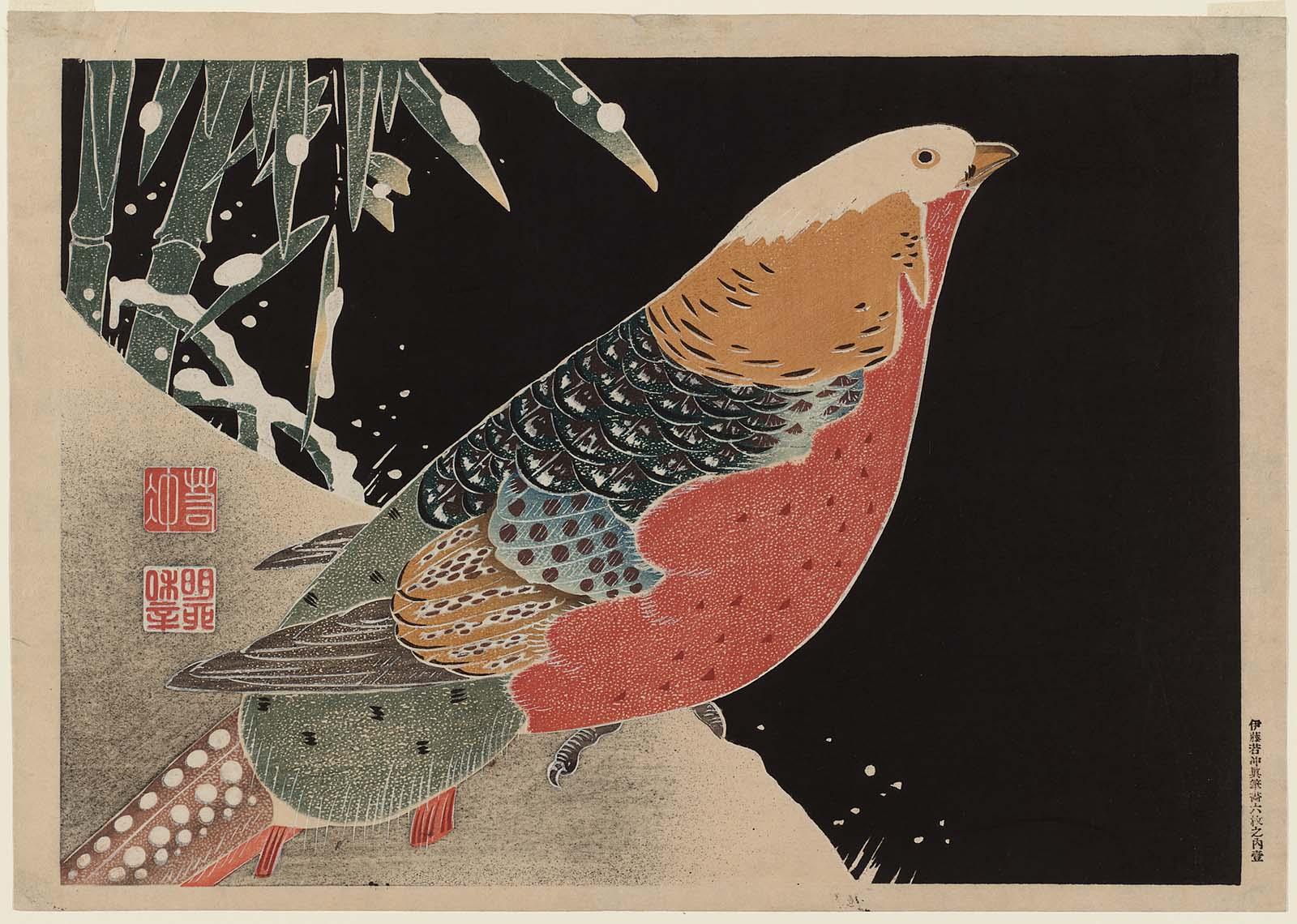 Golden Pheasant and Bamboo in Snow