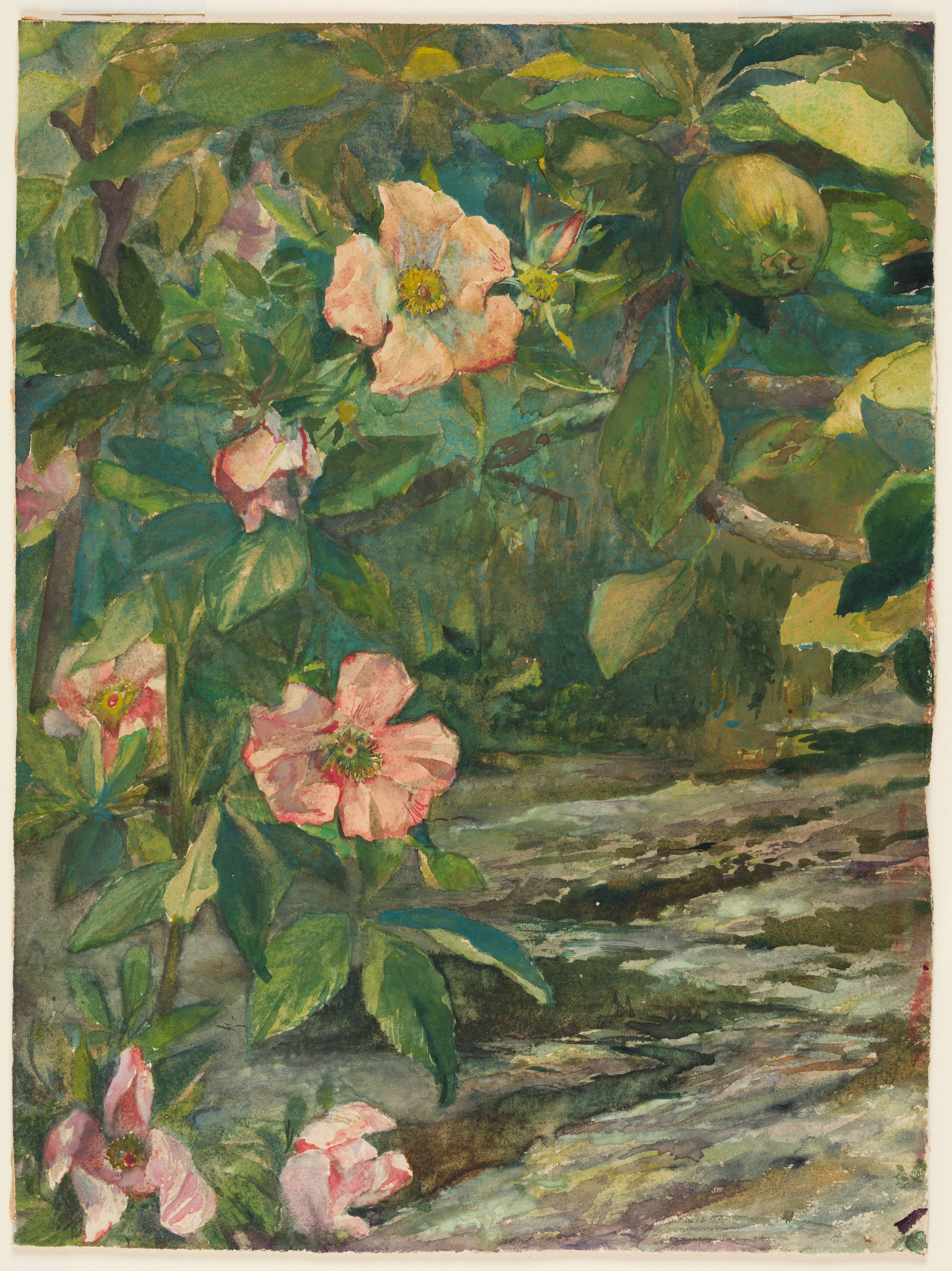 Wild Roses