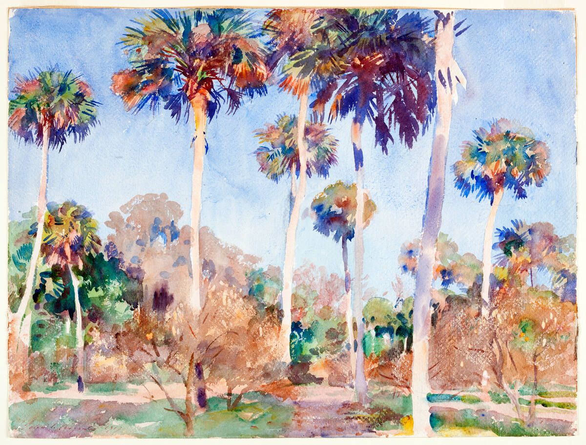 Palms