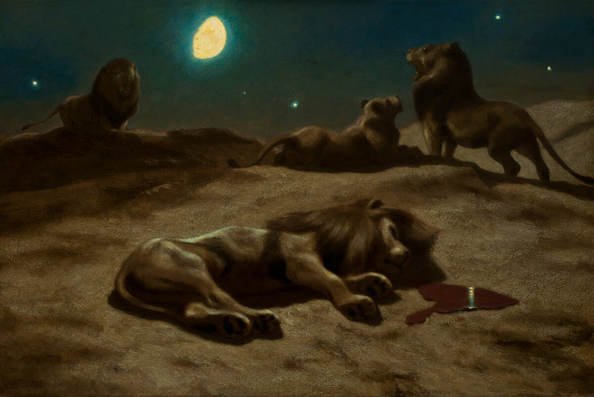 The Lions