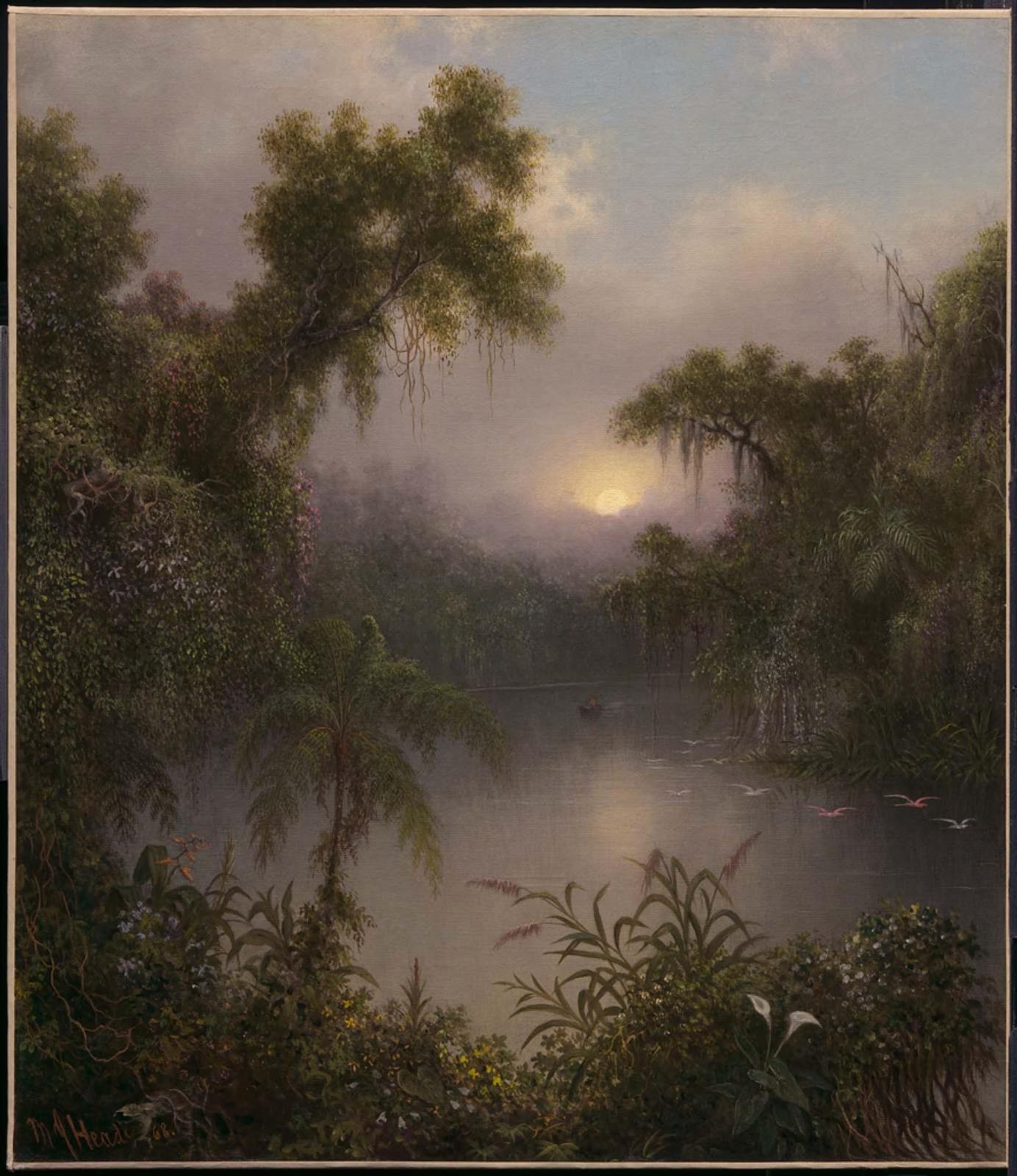 South American River