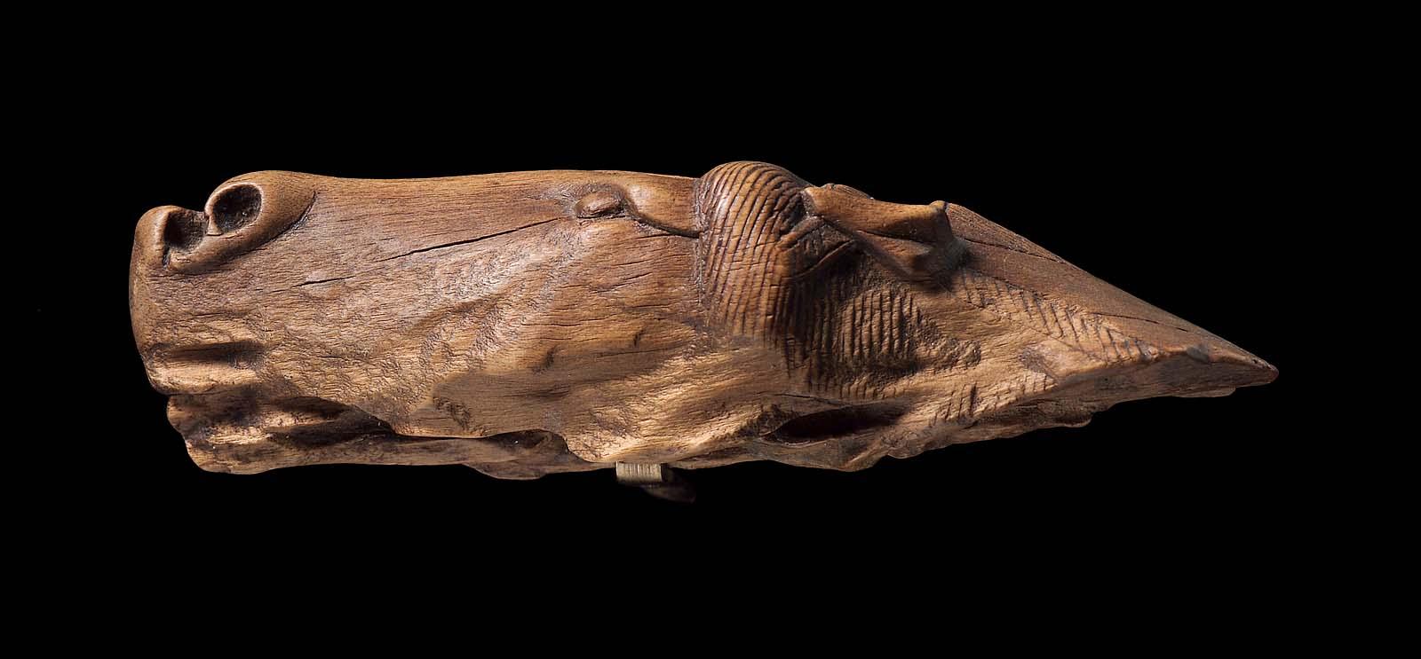 Horse's head