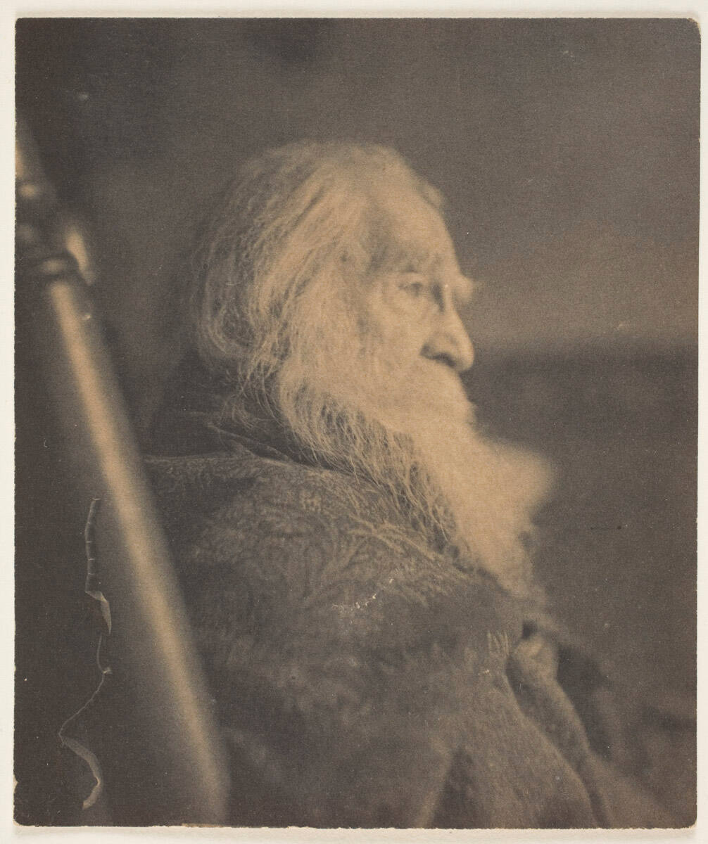 Portrait of Walt Whitman
