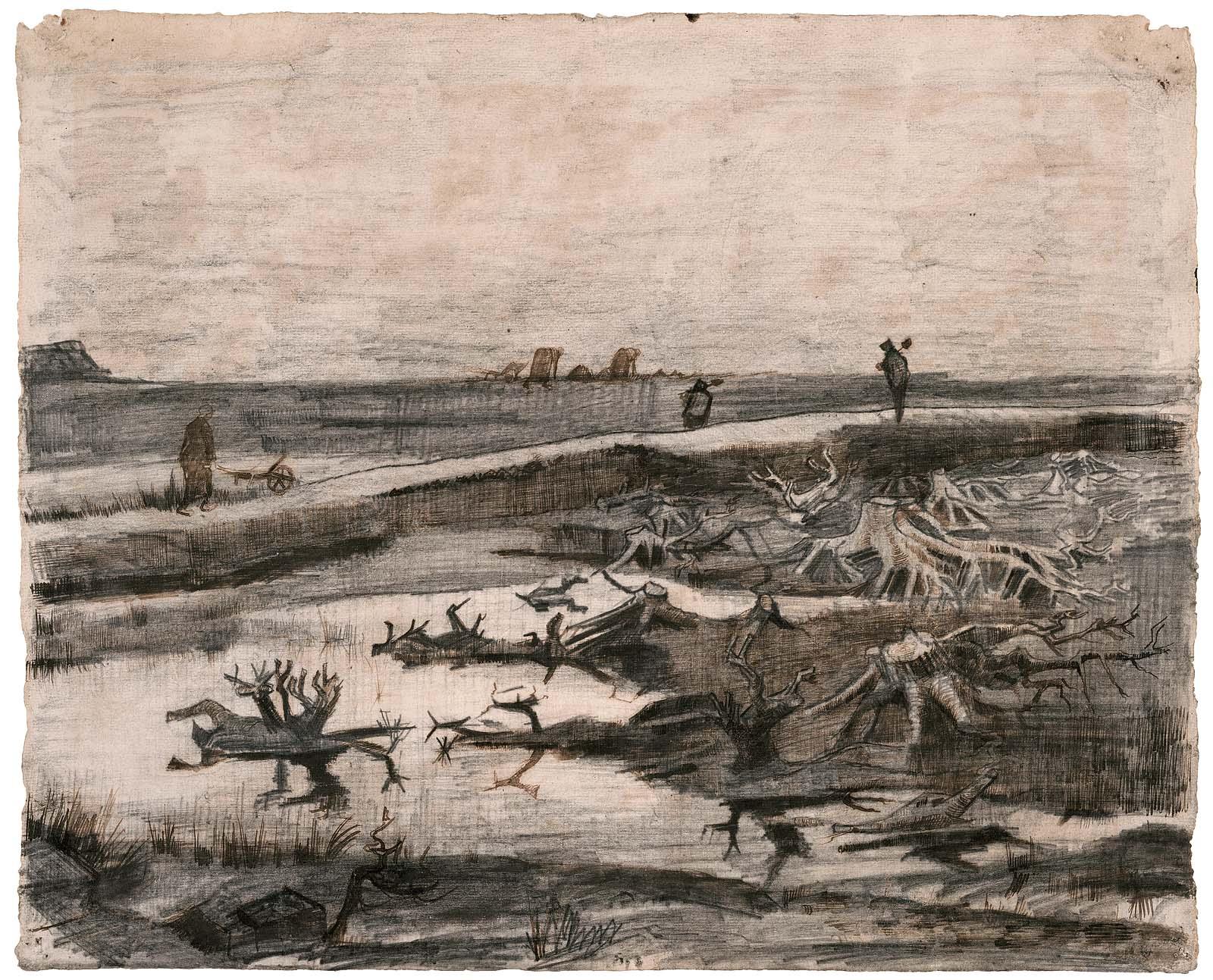 Landscape with Bog Trunks