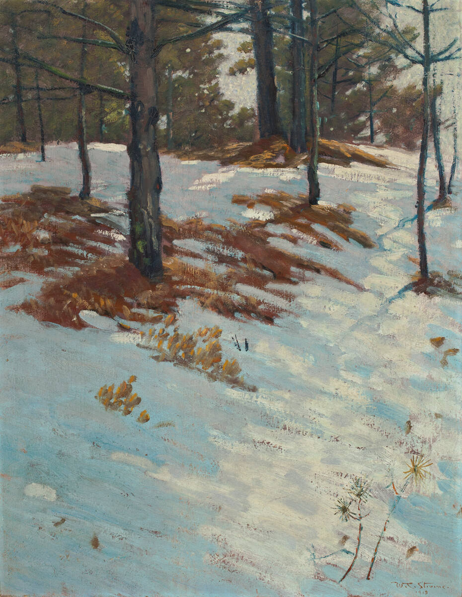 Snow scene