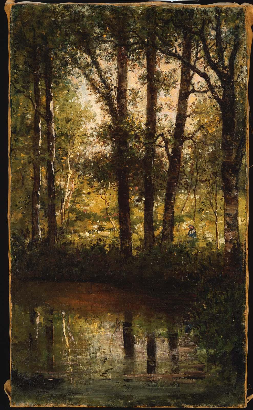 Reflections in the Water