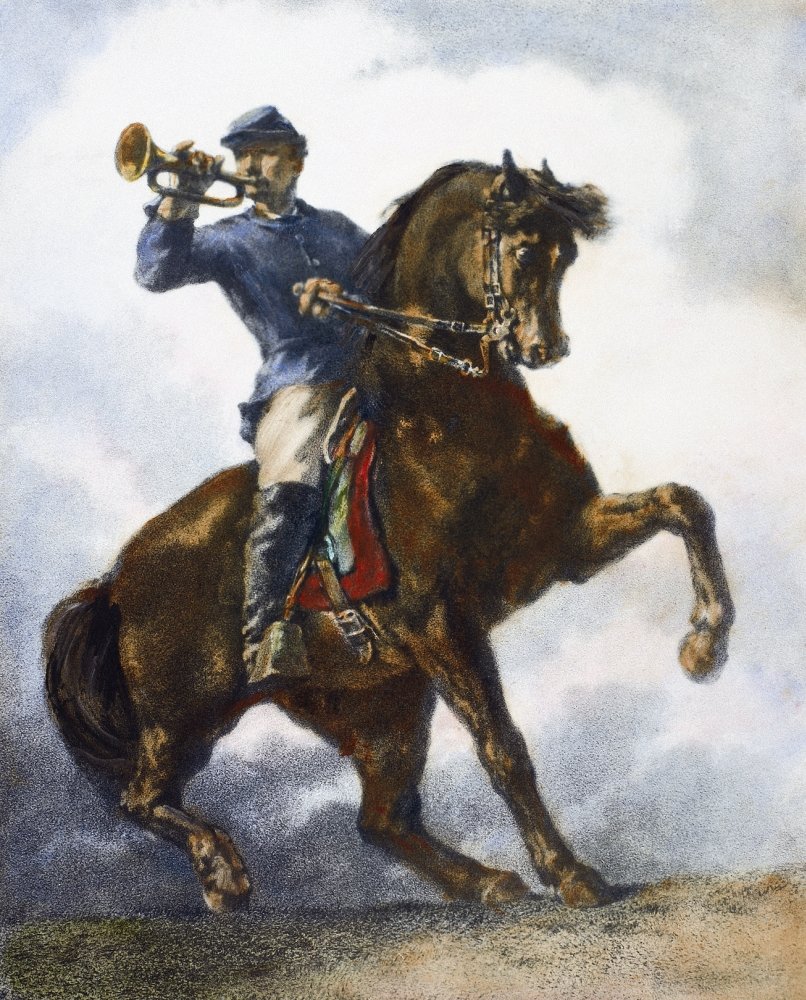 The Bugler