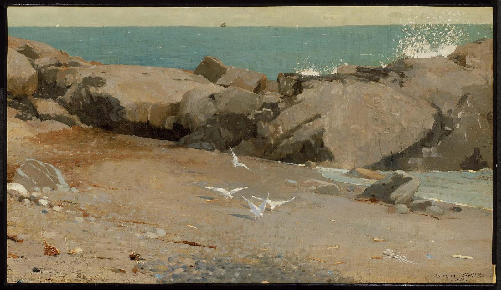 Rocky Coast and Gulls